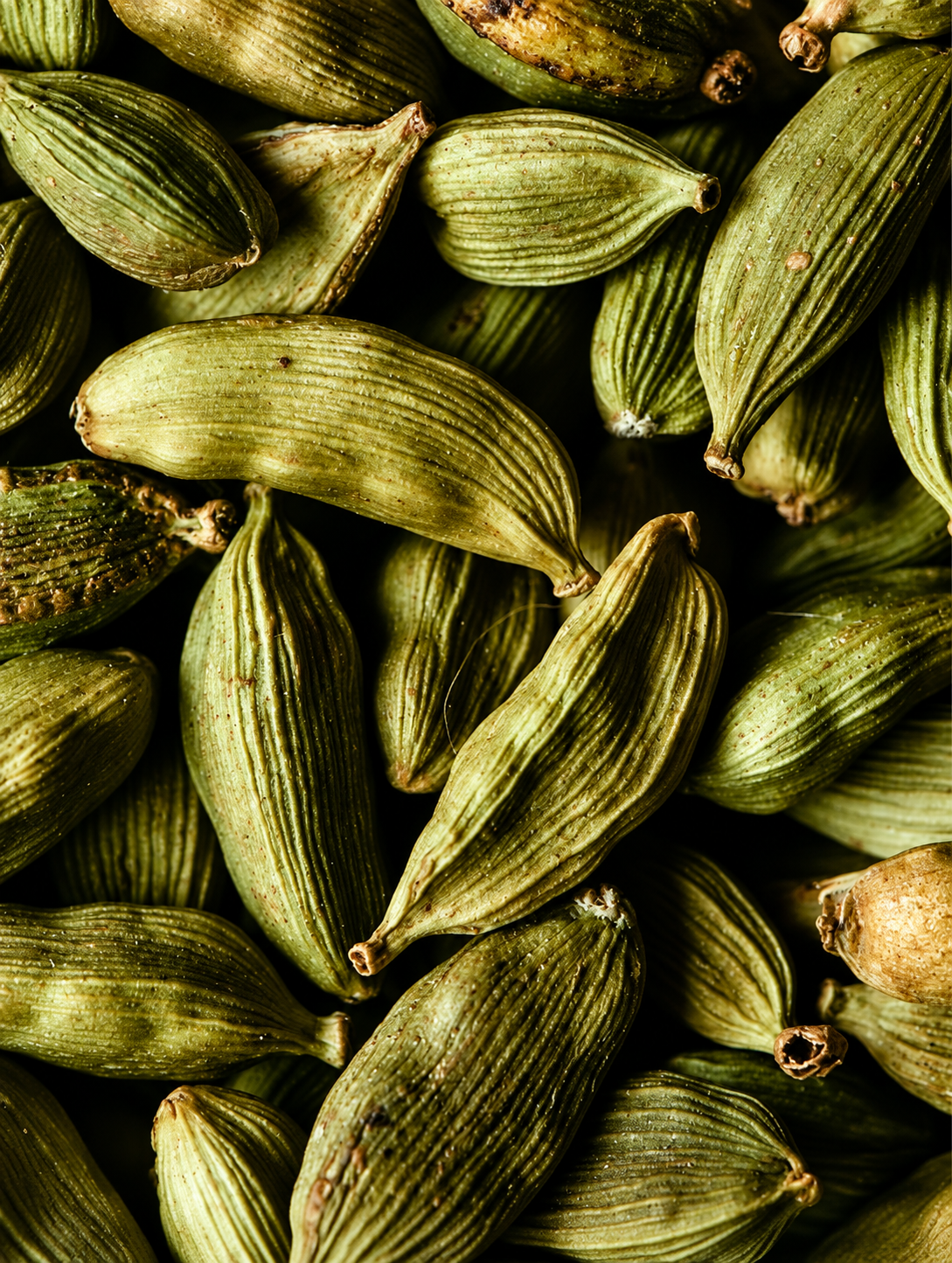Hand & Body Wash, Ginger & Smoky Cardamom